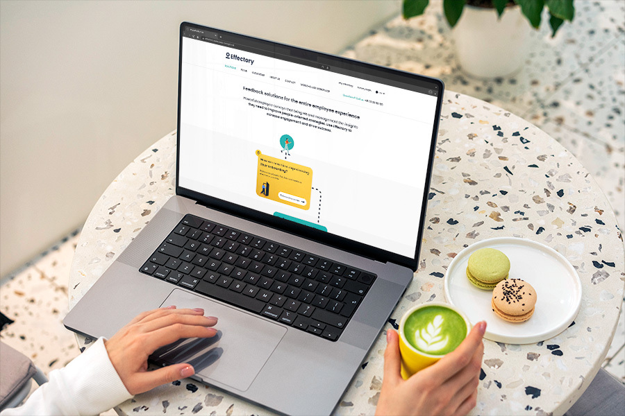 Webconcept voor de productenpagina van Effectory