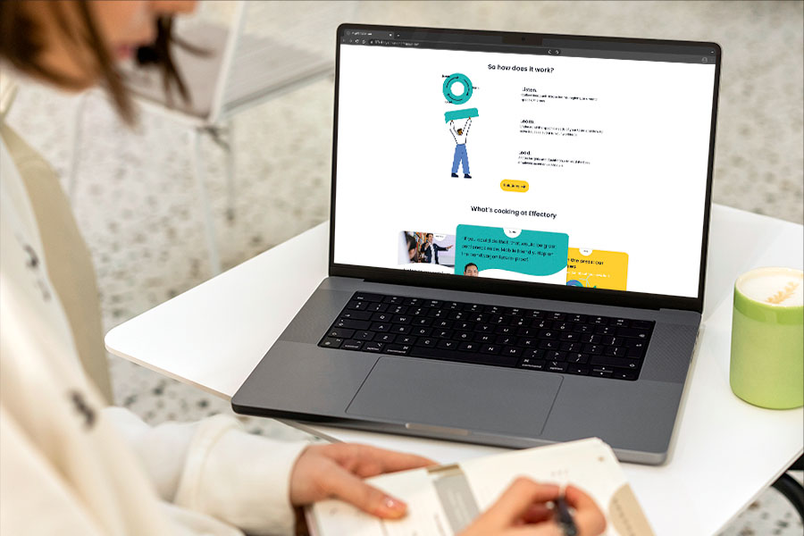 Webconcept voor een productpagina van Effectory